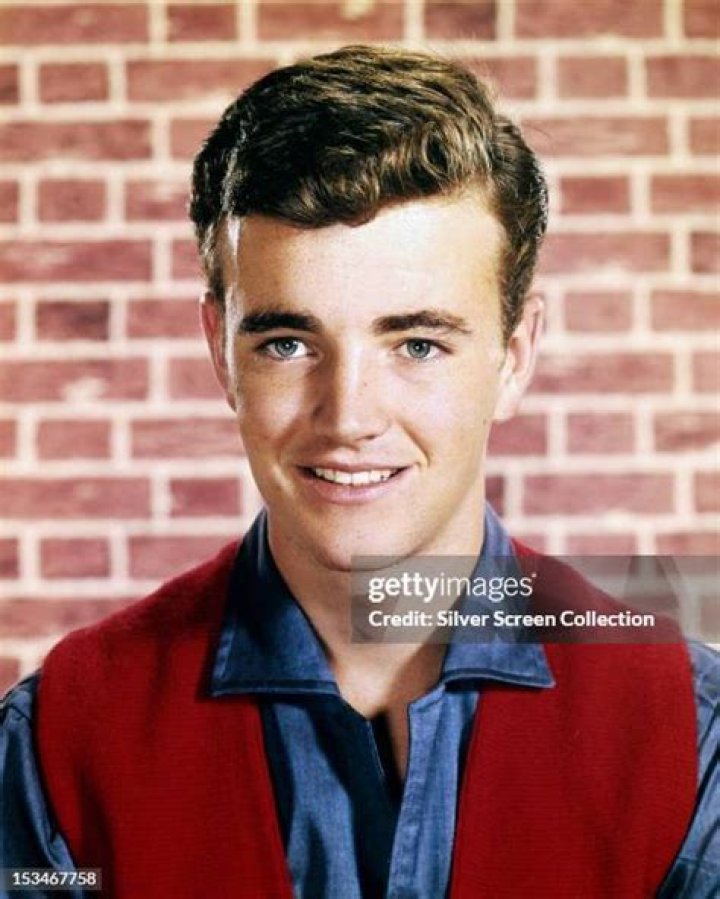 Robert Hudson Walker Net Worth 2024, Age, Height, Bio, Birthday, Wiki!